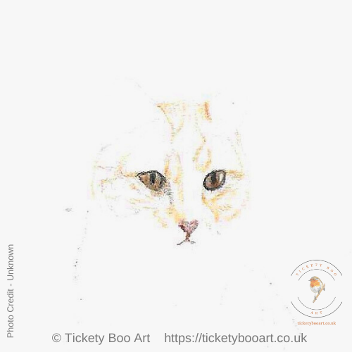 miniature cat drawing in coloured pencil