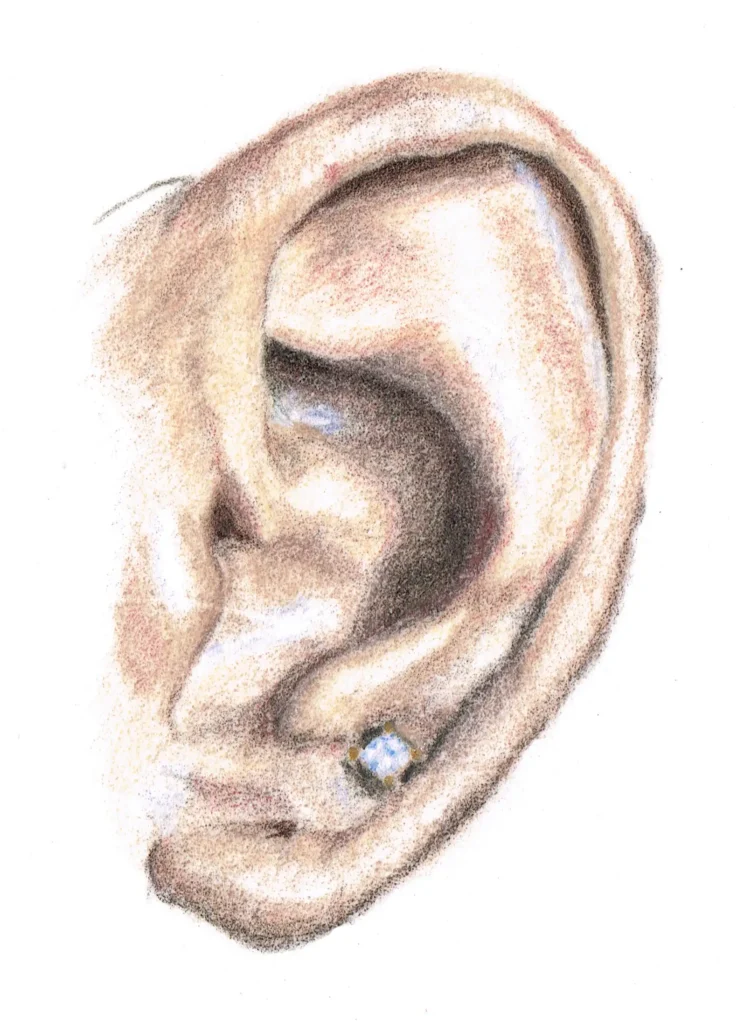Human Ear Drawn In Coloured Pencil