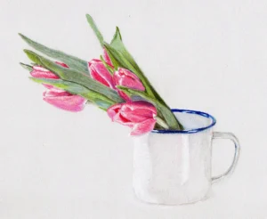 Tulips Drawn In Coloured Pencil