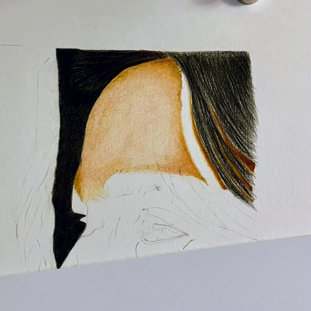 Human face Drawn in coloured pencil