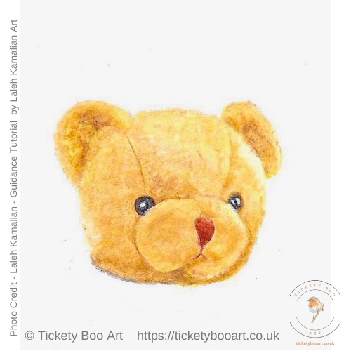 Teddy Bear Draw In coloured pencils