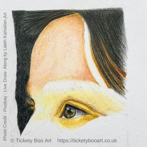 Human face Drawn in coloured pencil