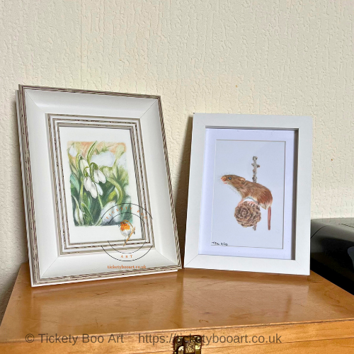 Snowdrops in coloured pencil