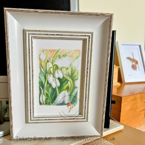Snowdrops in coloured pencil